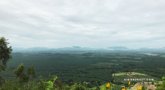 Hiking Bukit Taisho Bahau